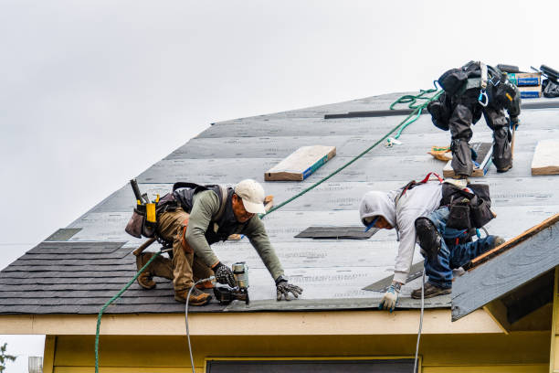 Professional Roofing technician working in Harveys Lake, PA